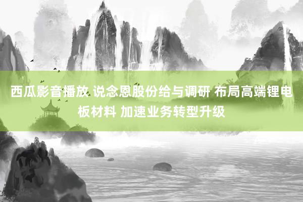 西瓜影音播放 说念恩股份给与调研 布局高端锂电板材料 加速业务转型升级