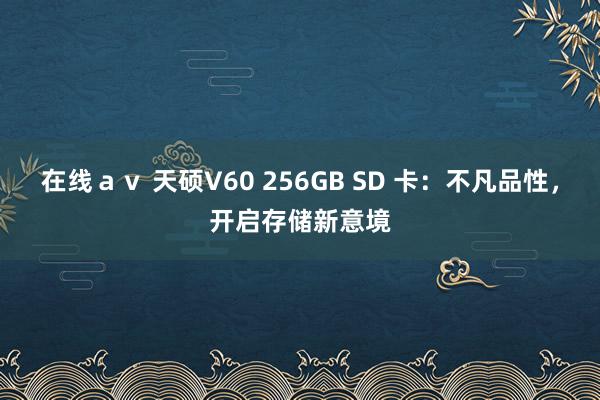 在线ａｖ 天硕V60 256GB SD 卡：不凡品性，开启存储新意境