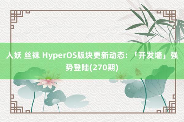 人妖 丝袜 HyperOS版块更新动态: 「开发墙」强势登陆(270期)