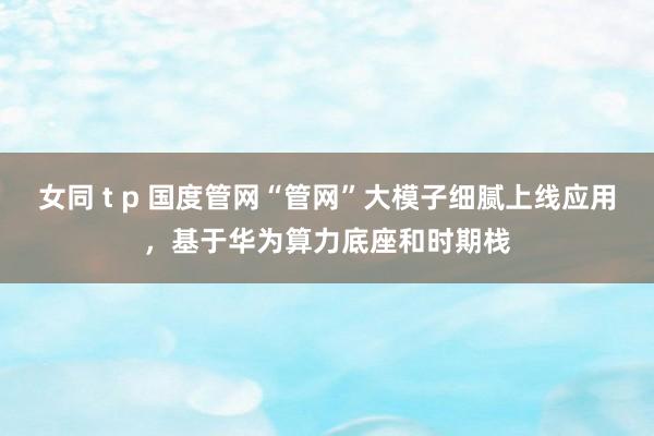 女同 t p 国度管网“管网”大模子细腻上线应用，基于华为算力底座和时期栈