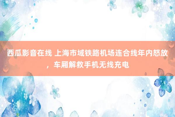 西瓜影音在线 上海市域铁路机场连合线年内怒放，车厢解救手机无线充电