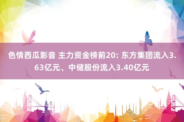 色情西瓜影音 主力资金榜前20: 东方集团流入3.63亿元、中储股份流入3.40亿元