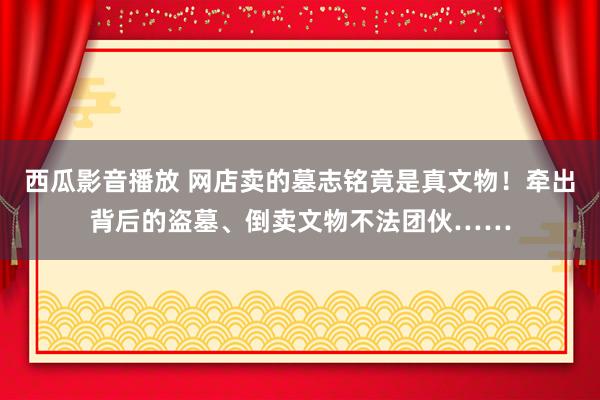 西瓜影音播放 网店卖的墓志铭竟是真文物！牵出背后的盗墓、倒卖文物不法团伙……