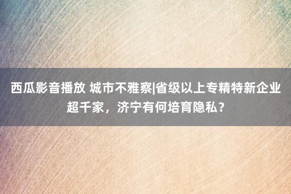 西瓜影音播放 城市不雅察|省级以上专精特新企业超千家，济宁有何培育隐私？