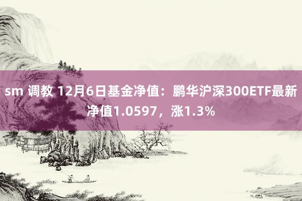 sm 调教 12月6日基金净值：鹏华沪深300ETF最新净值1.0597，涨1.3%