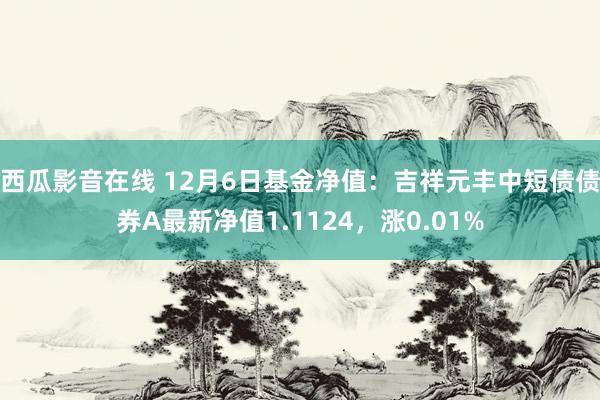 西瓜影音在线 12月6日基金净值：吉祥元丰中短债债券A最新净值1.1124，涨0.01%