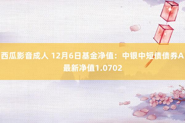 西瓜影音成人 12月6日基金净值：中银中短债债券A最新净值1.0702