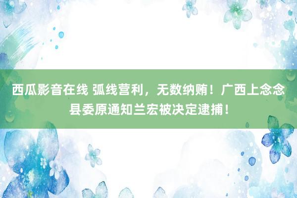 西瓜影音在线 弧线营利，无数纳贿！广西上念念县委原通知兰宏被决定逮捕！