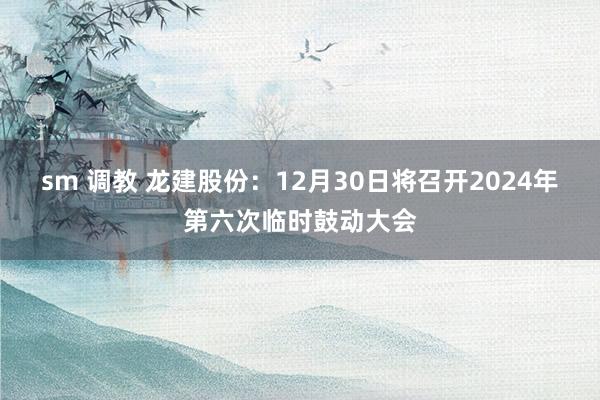 sm 调教 龙建股份：12月30日将召开2024年第六次临时鼓动大会