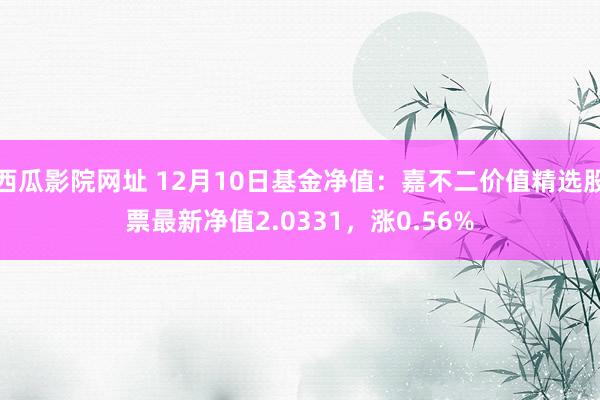 西瓜影院网址 12月10日基金净值：嘉不二价值精选股票最新净值2.0331，涨0.56%