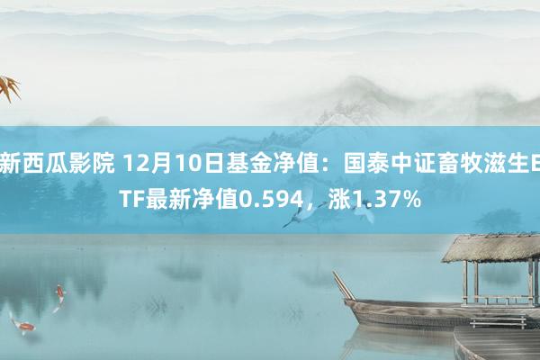 新西瓜影院 12月10日基金净值：国泰中证畜牧滋生ETF最新净值0.594，涨1.37%