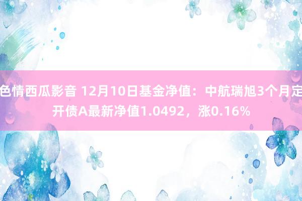 色情西瓜影音 12月10日基金净值：中航瑞旭3个月定开债A最新净值1.0492，涨0.16%