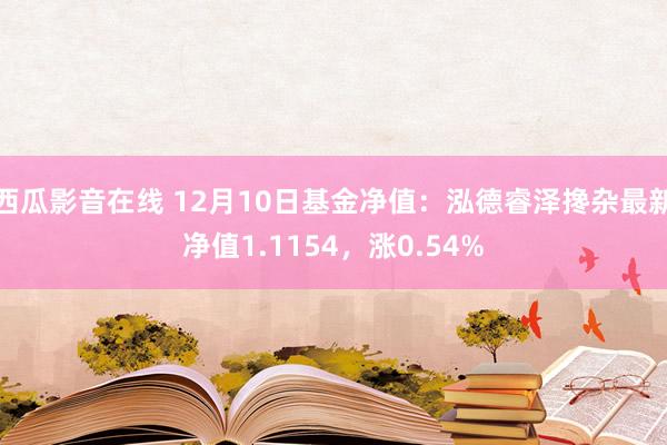 西瓜影音在线 12月10日基金净值：泓德睿泽搀杂最新净值1.1154，涨0.54%