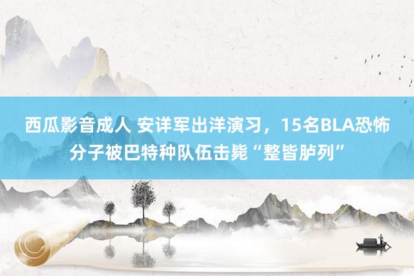 西瓜影音成人 安详军出洋演习，15名BLA恐怖分子被巴特种队伍击毙“整皆胪列”