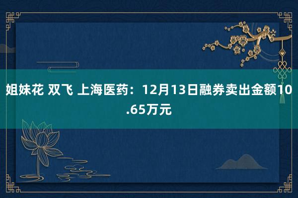 姐妹花 双飞 上海医药：12月13日融券卖出金额10.65万元