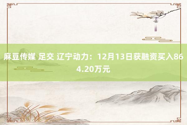 麻豆传媒 足交 辽宁动力：12月13日获融资买入864.20万元