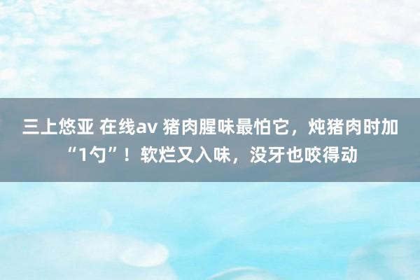 三上悠亚 在线av 猪肉腥味最怕它，炖猪肉时加“1勺”！软烂又入味，没牙也咬得动