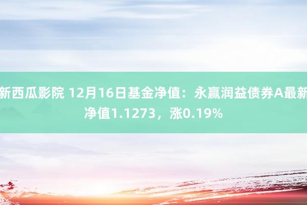 新西瓜影院 12月16日基金净值：永赢润益债券A最新净值1.1273，涨0.19%