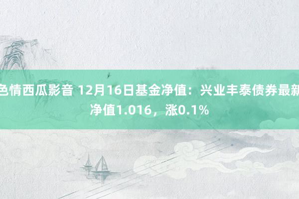 色情西瓜影音 12月16日基金净值：兴业丰泰债券最新净值1.016，涨0.1%