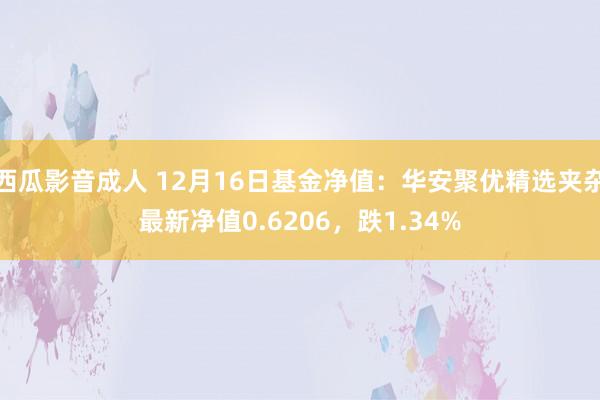 西瓜影音成人 12月16日基金净值：华安聚优精选夹杂最新净值0.6206，跌1.34%