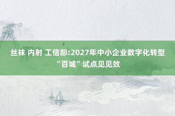 丝袜 内射 工信部:2027年中小企业数字化转型“百城”试点见见效