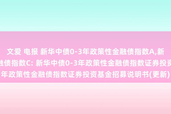 文爱 电报 新华中债0-3年政策性金融债指数A，新华中债0-3年政策性金融债指数C: 新华中债0-3年政策性金融债指数证券投资基金招募说明书(更新)