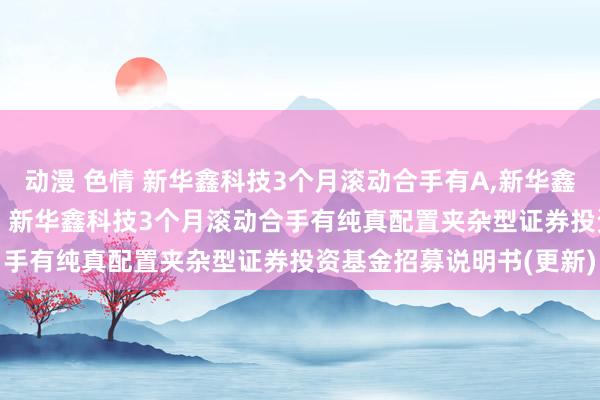 动漫 色情 新华鑫科技3个月滚动合手有A，新华鑫科技3个月滚动合手有C: 新华鑫科技3个月滚动合手有纯真配置夹杂型证券投资基金招募说明书(更新)