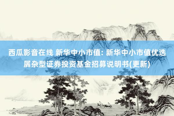 西瓜影音在线 新华中小市值: 新华中小市值优选羼杂型证券投资基金招募说明书(更新)