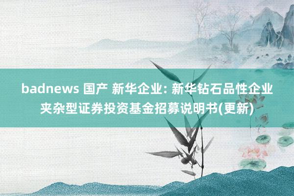 badnews 国产 新华企业: 新华钻石品性企业夹杂型证券投资基金招募说明书(更新)