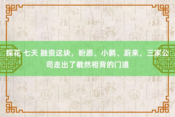 探花 七天 融资这块，盼愿、小鹏、蔚来，三家公司走出了截然相背的门道