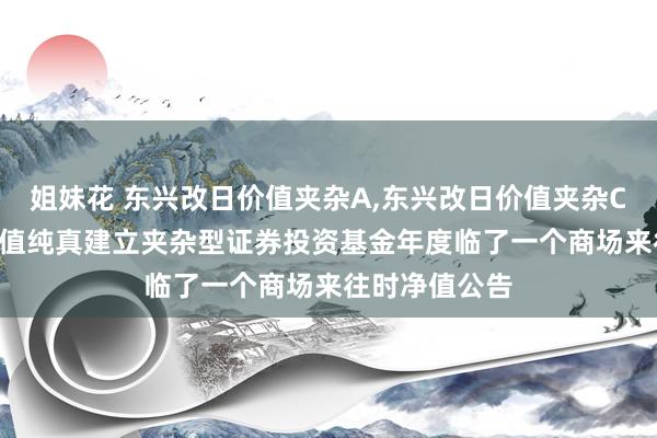 姐妹花 东兴改日价值夹杂A，东兴改日价值夹杂C: 东兴改日价值纯真建立夹杂型证券投资基金年度临了一个商场来往时净值公告