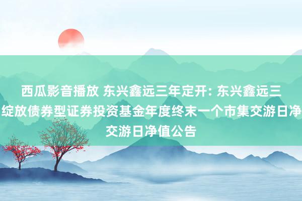 西瓜影音播放 东兴鑫远三年定开: 东兴鑫远三年依期绽放债券型证券投资基金年度终末一个市集交游日净值公告