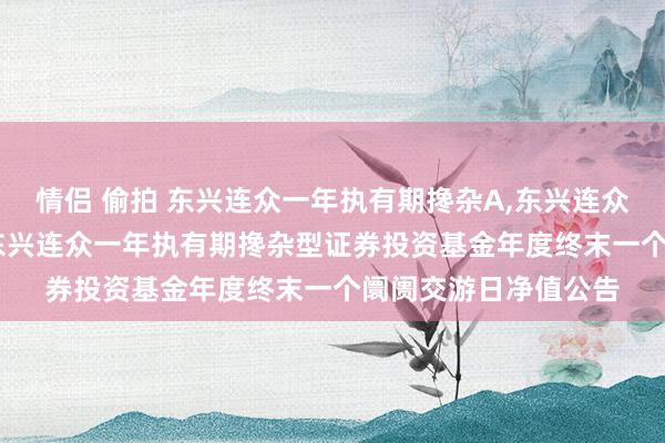 情侣 偷拍 东兴连众一年执有期搀杂A，东兴连众一年执有期搀杂C: 东兴连众一年执有期搀杂型证券投资基金年度终末一个阛阓交游日净值公告