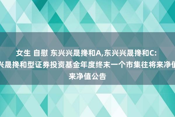 女生 自慰 东兴兴晟搀和A，东兴兴晟搀和C: 东兴兴晟搀和型证券投资基金年度终末一个市集往将来净值公告