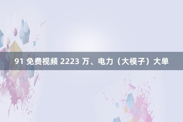 91 免费视频 2223 万、电力（大模子）大单