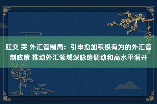 肛交 哭 外汇管制局：引申愈加积极有为的外汇管制政策 推动外汇领域深脉络调动和高水平洞开