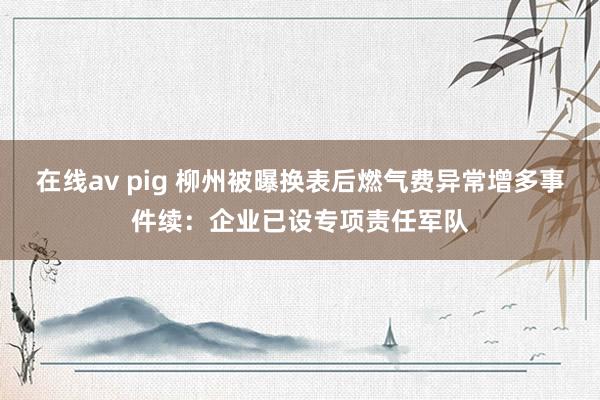 在线av pig 柳州被曝换表后燃气费异常增多事件续：企业已设专项责任军队