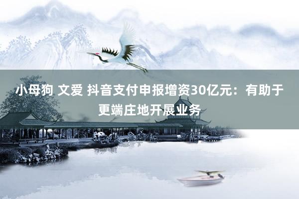 小母狗 文爱 抖音支付申报增资30亿元：有助于更端庄地开展业务