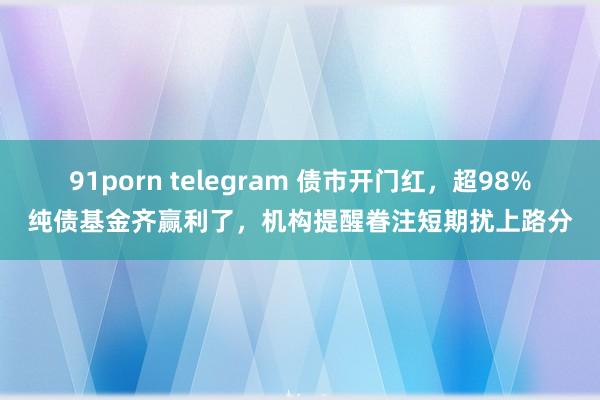 91porn telegram 债市开门红，超98%纯债基金齐赢利了，机构提醒眷注短期扰上路分