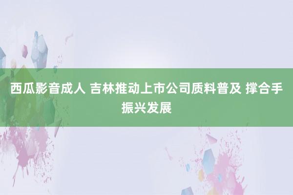 西瓜影音成人 吉林推动上市公司质料普及 撑合手振兴发展