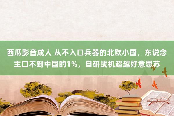 西瓜影音成人 从不入口兵器的北欧小国，东说念主口不到中国的1%，自研战机超越好意思苏