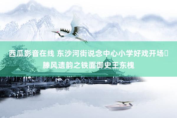 西瓜影音在线 东沙河街说念中心小学好戏开场・滕风遗韵之铁面御史王东槐