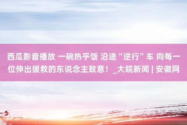 西瓜影音播放 一碗热乎饭 沿途“逆行”车 向每一位伸出援救的东说念主致意！_大皖新闻 | 安徽网