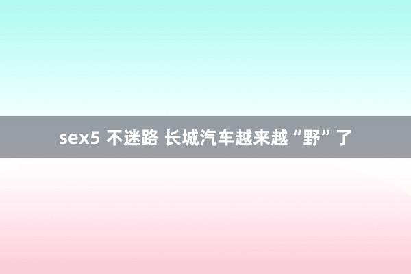 sex5 不迷路 长城汽车越来越“野”了