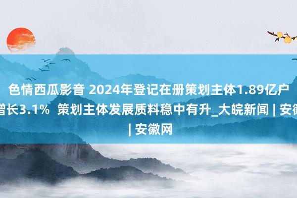 色情西瓜影音 2024年登记在册策划主体1.89亿户，增长3.1%  策划主体发展质料稳中有升_大皖新闻 | 安徽网