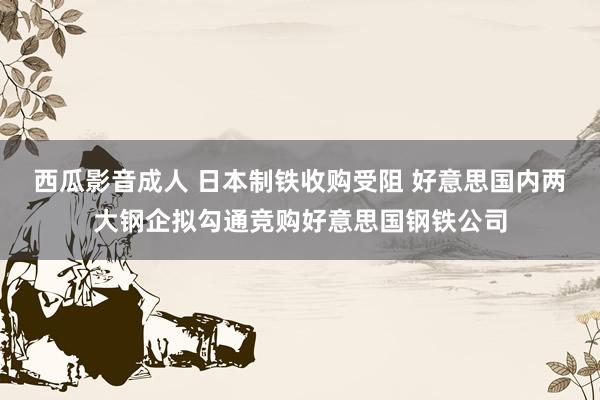 西瓜影音成人 日本制铁收购受阻 好意思国内两大钢企拟勾通竞购好意思国钢铁公司